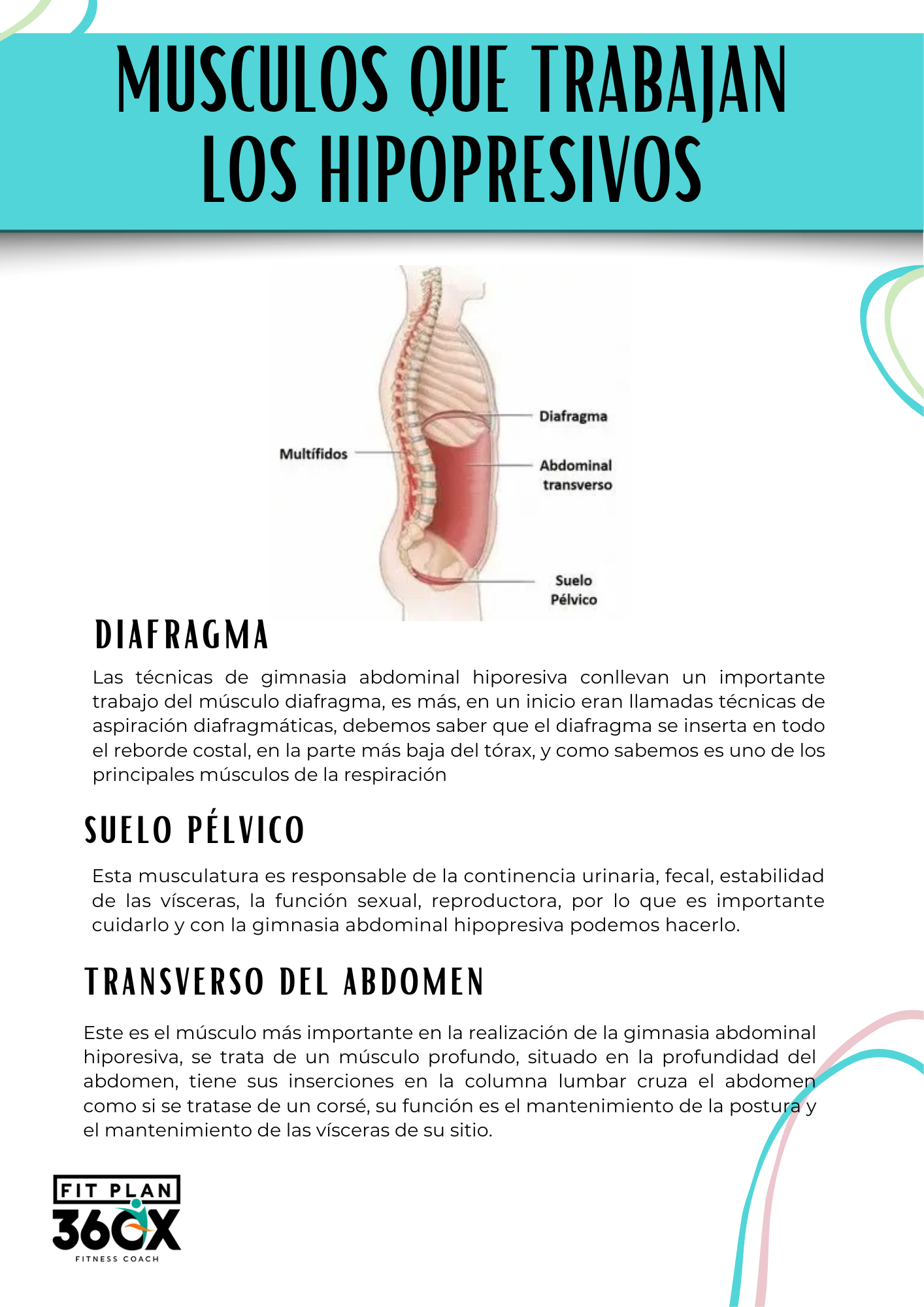 Guía de ejercicios Hipopresivos